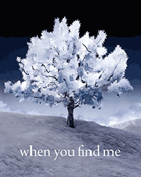 When You Find Me 
