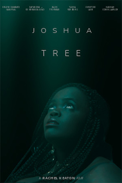 Joshua-Tree